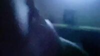 Talent Cacil Caaxella Abg 18Yo Eksib (1)
