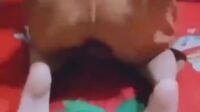 Bunda Lagi Tiduran Suruh Nungging Bentar