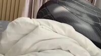 Hijab Spider Sepong Kontol Pendek Kecil - Hijab