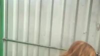 Telegram Joinviipyasmine Bot Dood Cantik Tobrut Video Viral Ngentot Videos