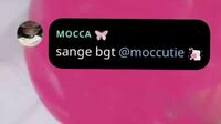 Talent Mocca Moccutie Mov (1)