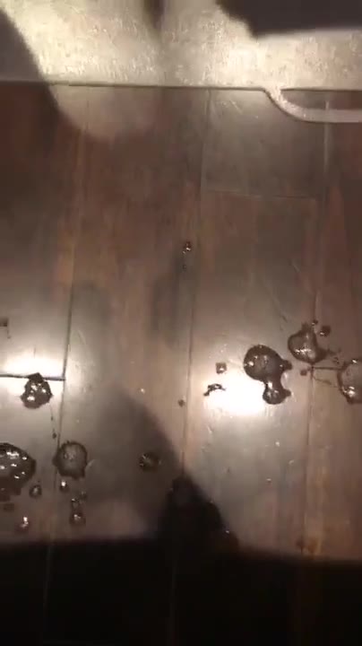 Onlyfans Adriana Chechik 4092