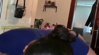 Imhizbaee Tobrut Montok Colmek Dientot Kontol Hitam (38)
