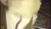 Kekasih Abg 18Yo Berkebun (7)