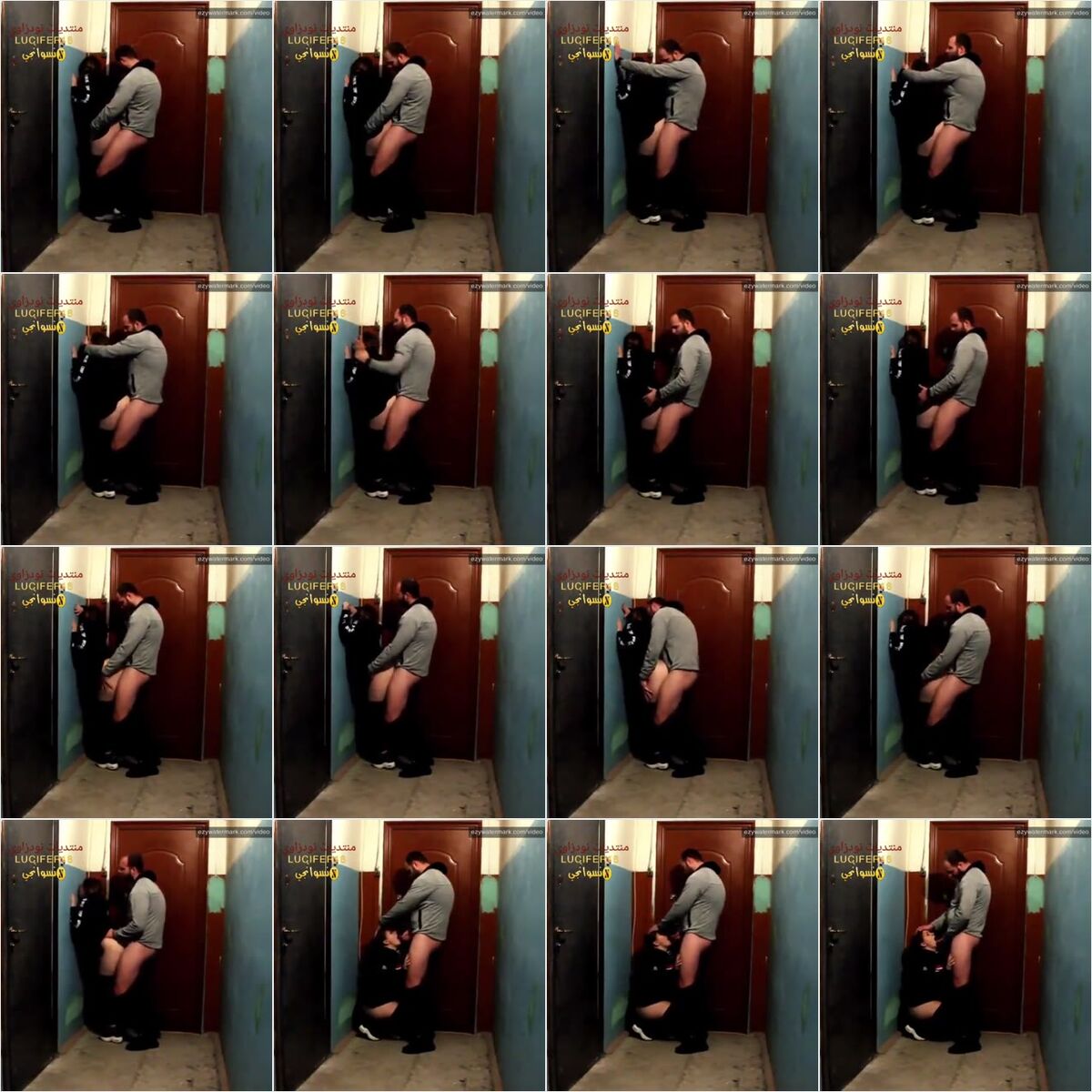 dwsny0c0o2yp_xt.jpg