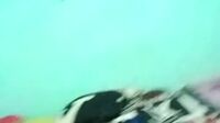 Arinamu Ngewe - Live Pemersatu Fun (3)