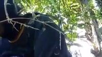 Ukhti Udah Gak Tahan Crot Di Semak Semak - Jilbab
