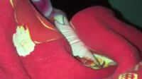 Helena Abg 18Yo Colmek Sepong Kontol Ngewe (3)