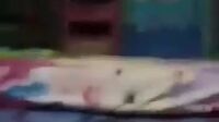 Bokep Pakai Hensed Biar Tau Ngobrol Apa Xbokepfb Video Viral