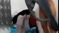 Tante Lagi Sendirian Sambil Bugil Di Kamar