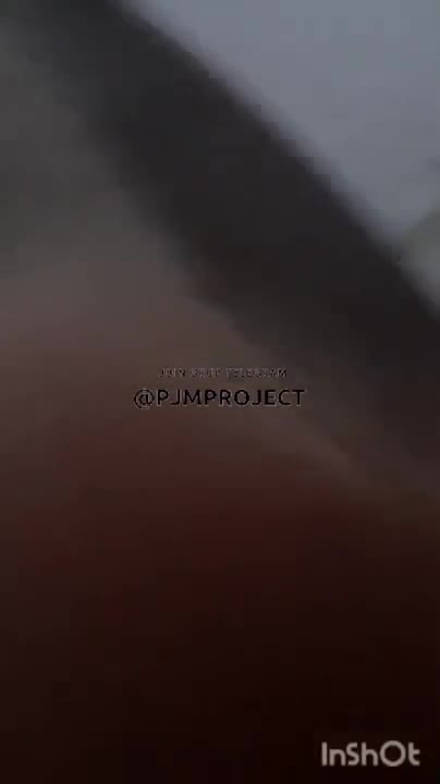 Thumbnail Baru pertama kali open bo masih malu-malu