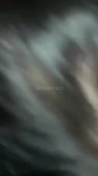 Thumbnail Enaknya Jadi Sopir Bisa Jajan Sembarangan