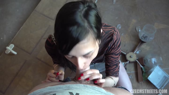 CzechStreets Real Czech Gypsies