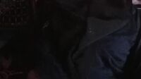 Hijab Damia Zahra Abg 18Yo Suka Kontol (10)