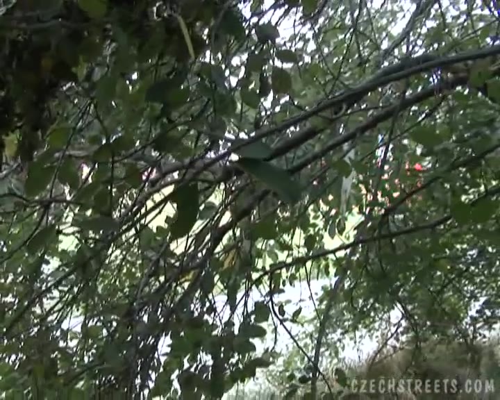 CzechStreets Anal Lady