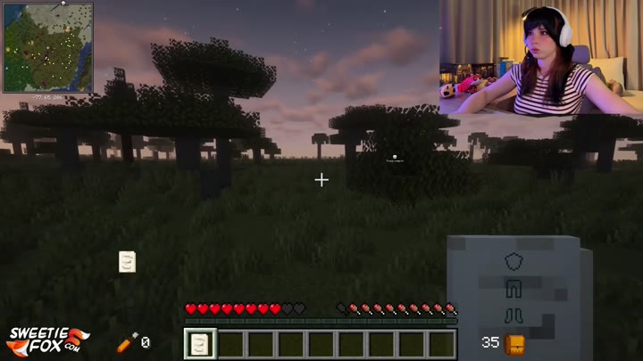 Sweetie Fox Minecraft Part 2 – Pussy & Anal Fuck