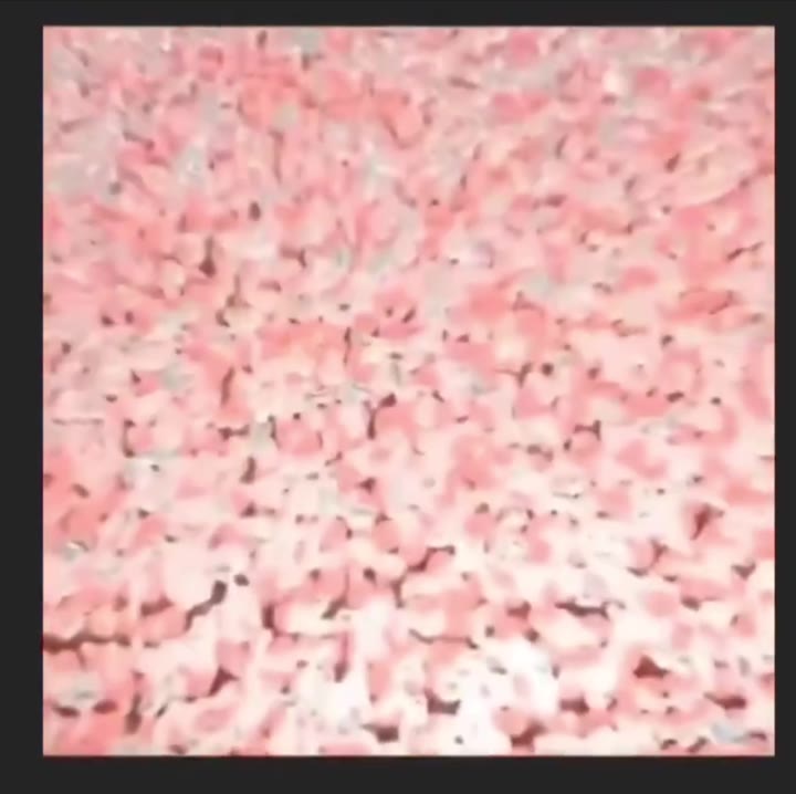 大便百科 小课堂 💩 食物 是如何变成 粪便 的？ #科普 #拉屎 #教学 @shitlot