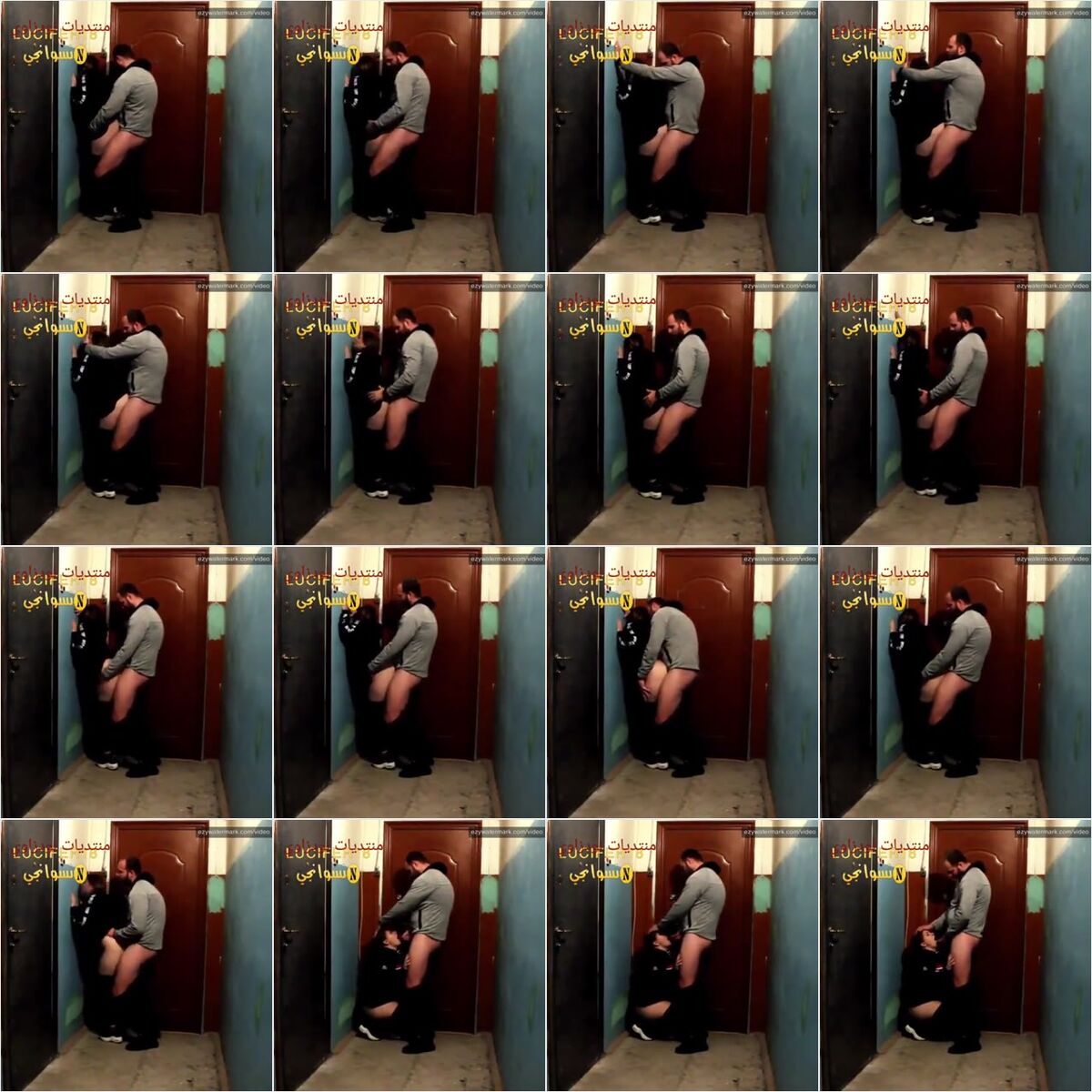 tgyto50p86io_xt.jpg