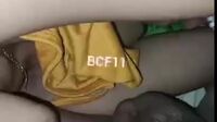 Ceweknya Bilang Enak Anjing
