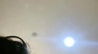 Tante Cakep Colmek