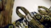 Hijaber Ownycann Suka Colmek Bugil (69)