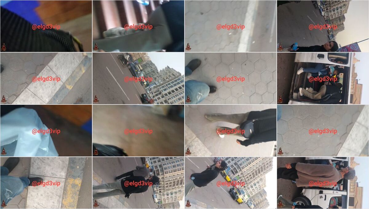 zvg04vkwl9y7_xt.jpg