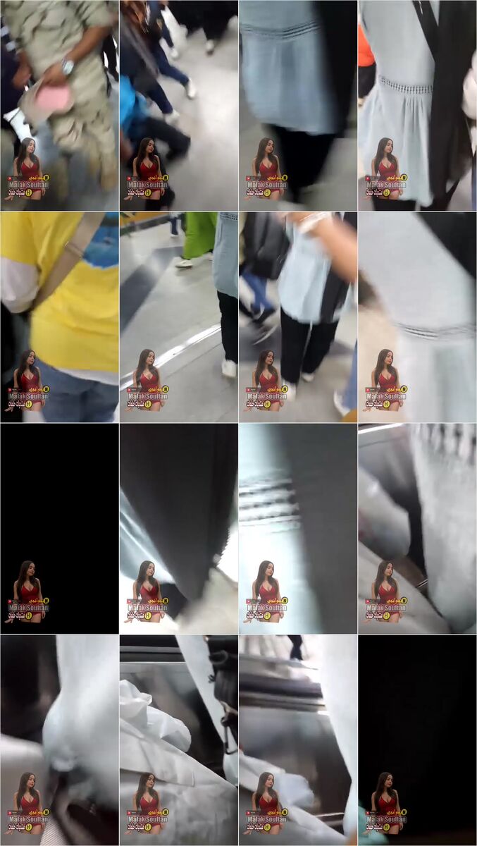zydqdpjnznft_xt.jpg